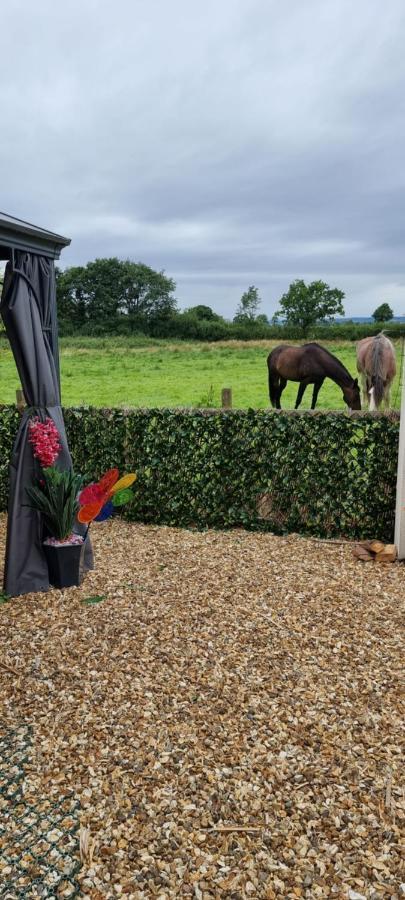Boutique Country House Aldergrove Crumlin  Eksteriør bilde