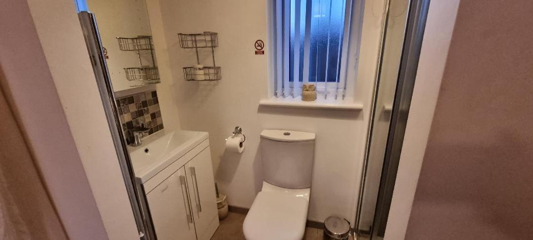 Boutique Country House Aldergrove Crumlin  Eksteriør bilde