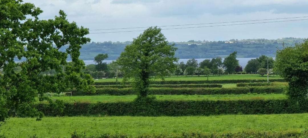 Boutique Country House Aldergrove Crumlin  Eksteriør bilde